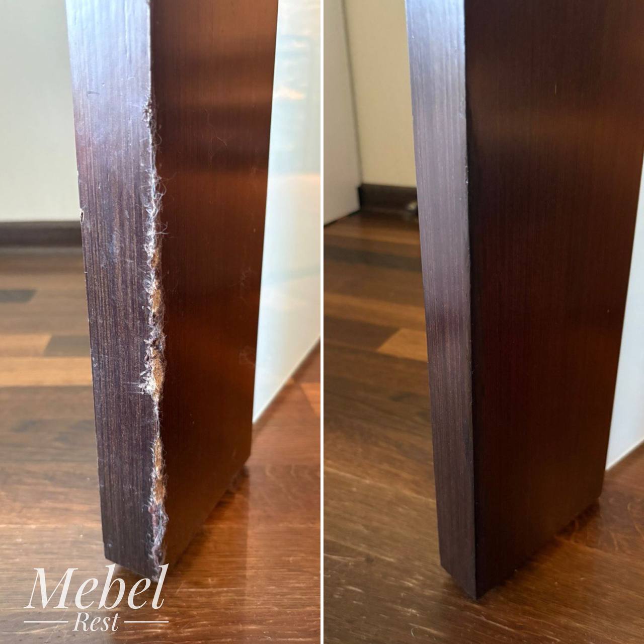 dver-postradavshaya-ot-zubov-sobaki